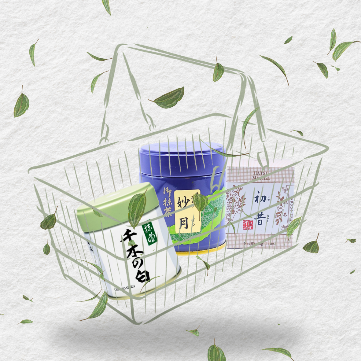 Midori Basket