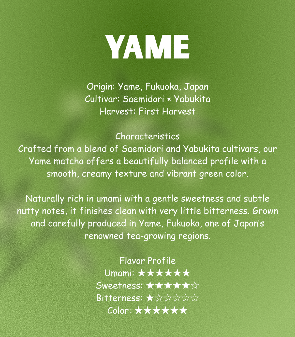 Yame Signature Blend Sample 15g