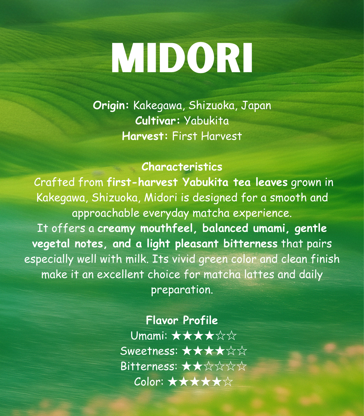 Shizucha - Midori 50g