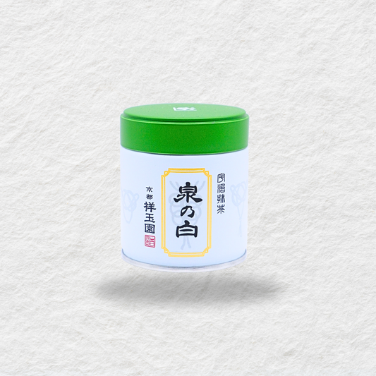 Shizuchaa