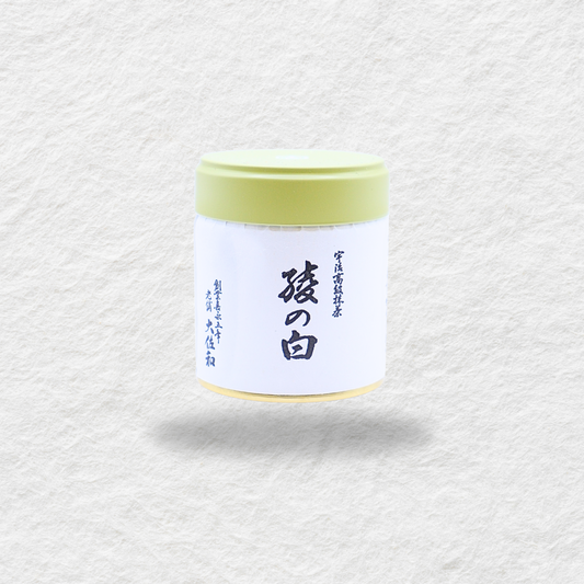 Marukyu Koyamaen - Aya no Shiro 40g